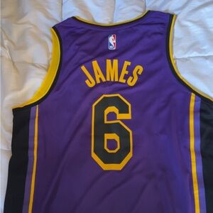 LeBron James Jersey #6.